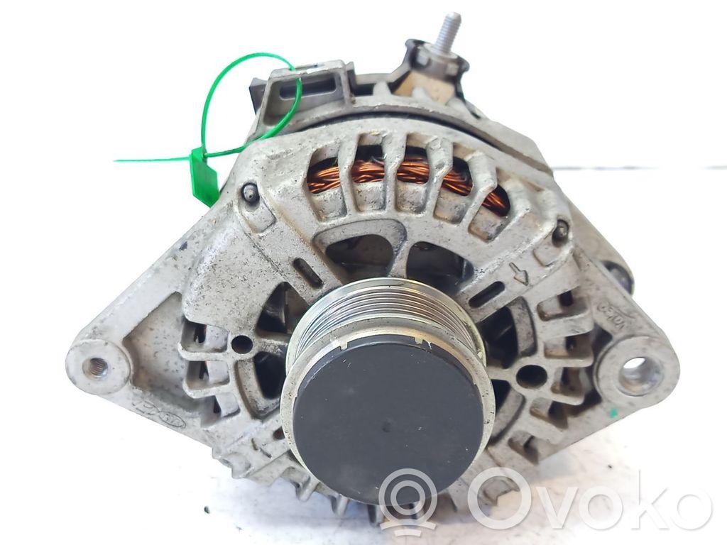 Generatorius   373002B970,135V130A