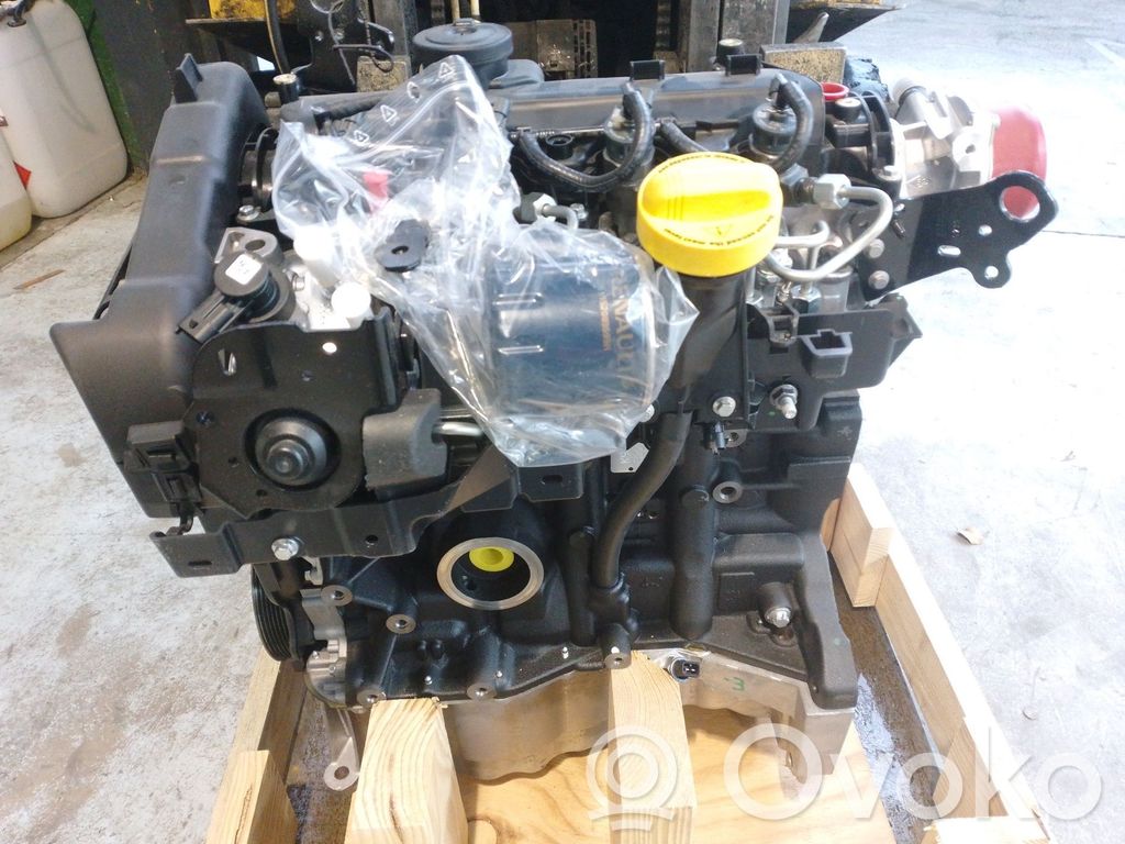 Renault Kangoo II Motor 