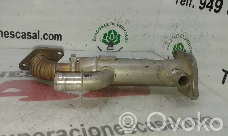 Válvula EGR   8653691,993062H