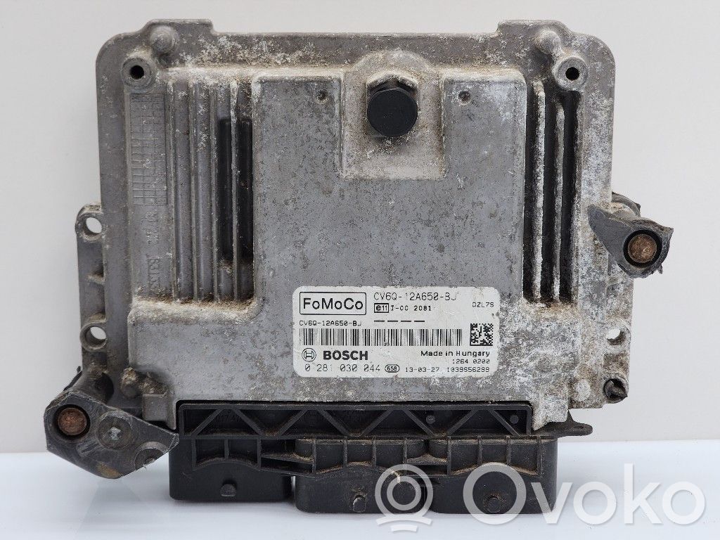 Ford Focus Engine control unit/module 