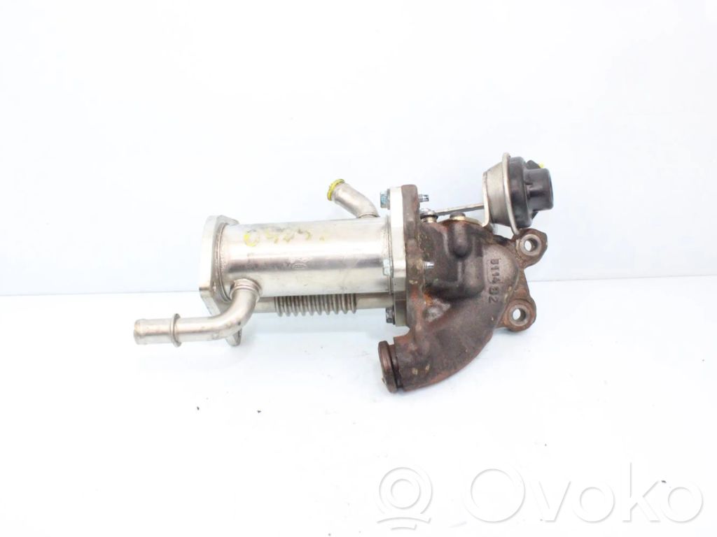 Renault Kangoo I Valvola EGR 