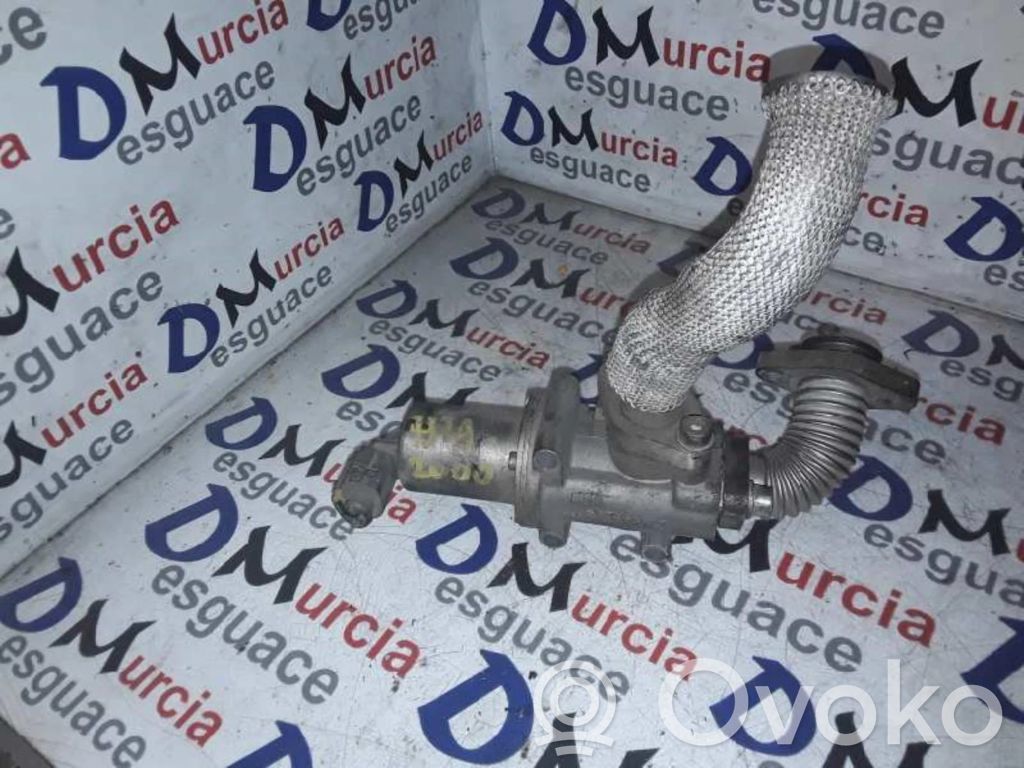 Válvula EGR   50109013