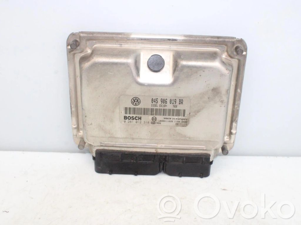 Seat Ibiza III (6L) Centralina/modulo motore ECU