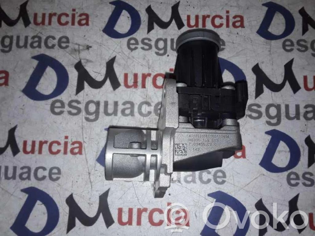 Válvula EGR   8200129863
