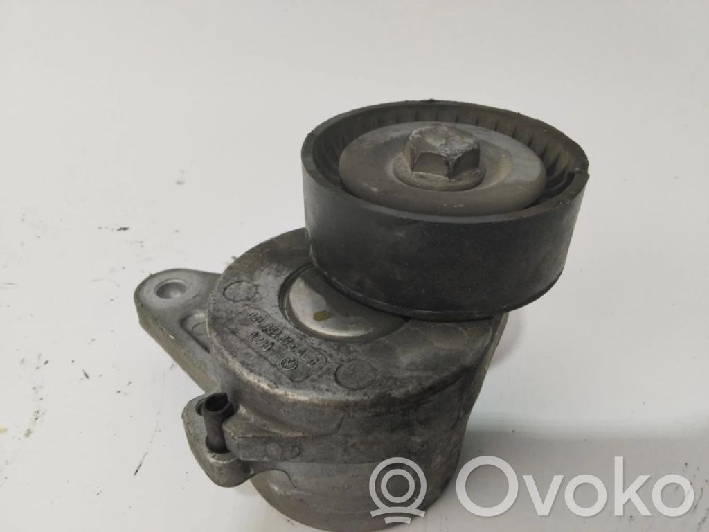 Seat Leon (1P) Întinzător curea generator/alternator 
