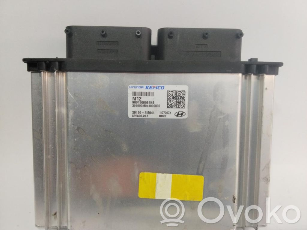 Hyundai Tucson JM Engine control unit/module ECU 