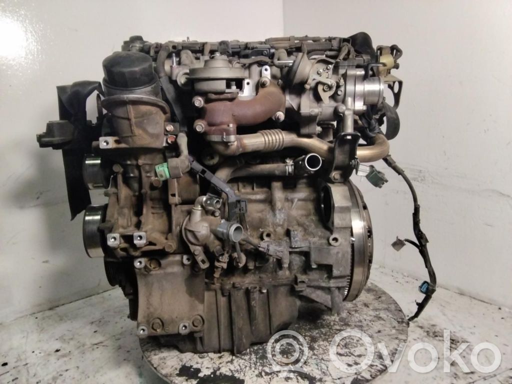 Honda Accord Motore