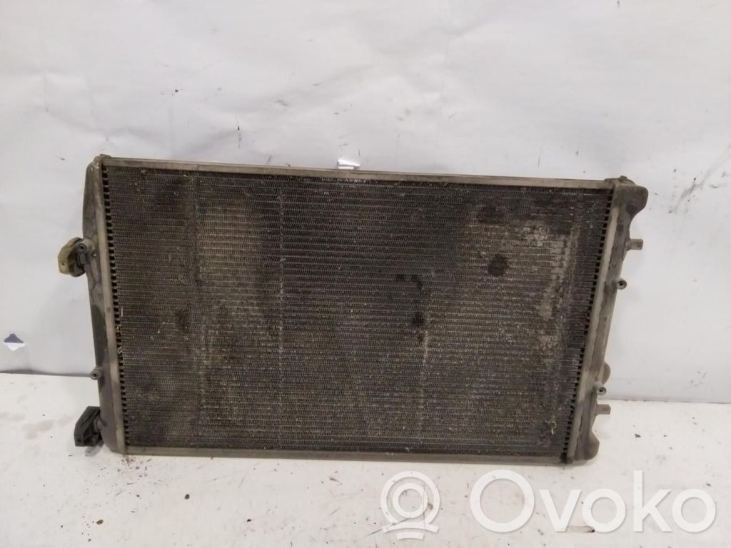 Seat Cordoba (6L) Wasserkühler 