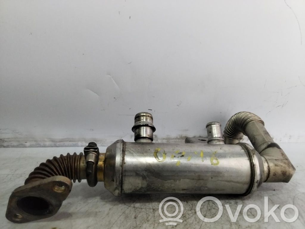 Ford C-MAX I Valvola di raffreddamento EGR