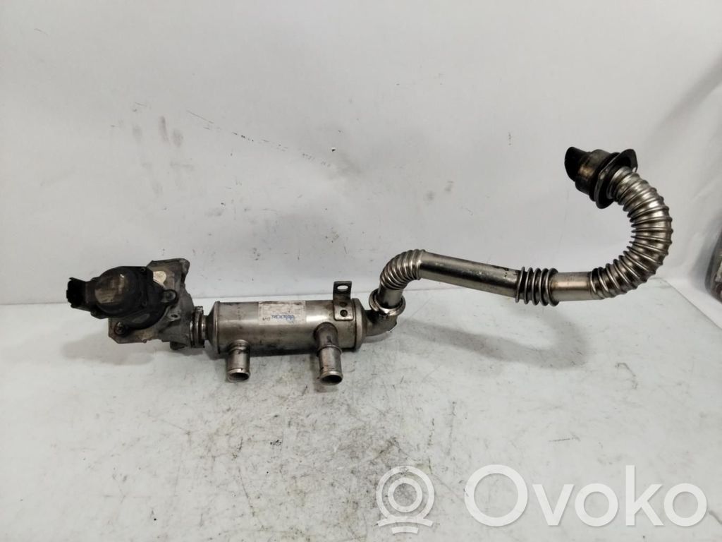Válvula EGR   967288008
