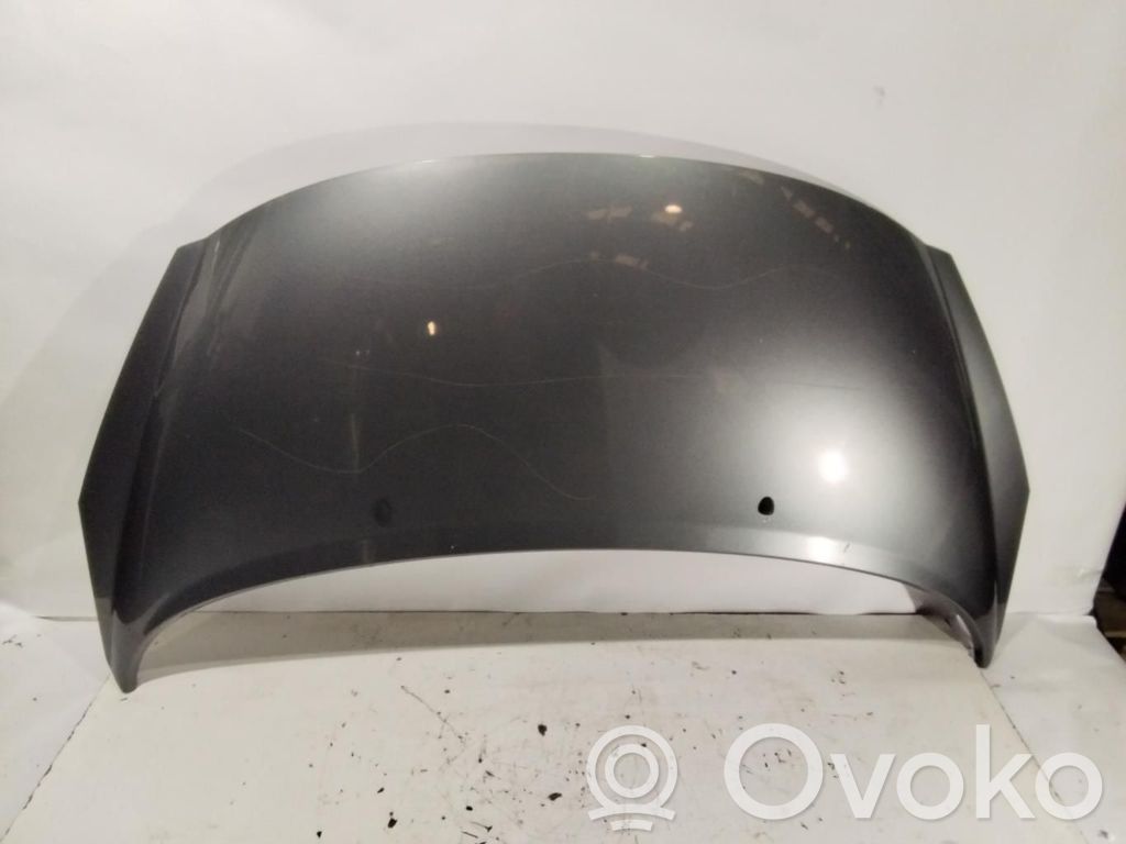 Motorhaube   7901N2
