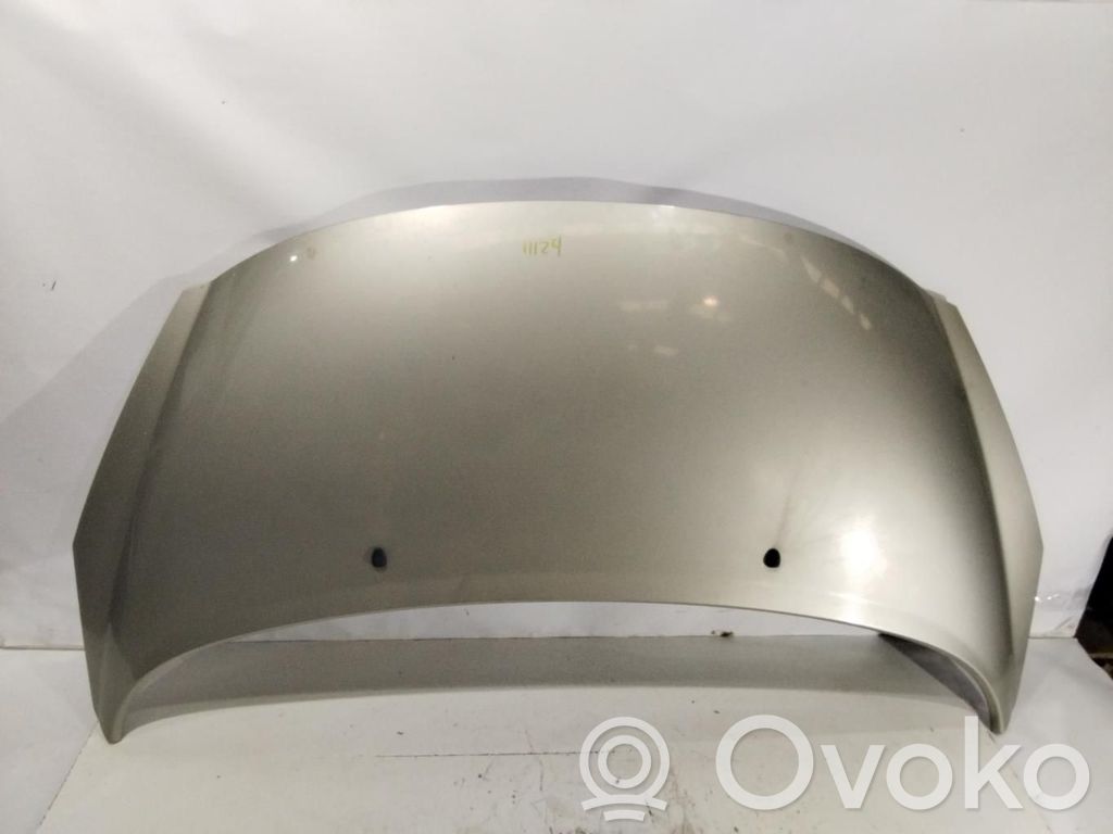 Motorhaube   7901N2