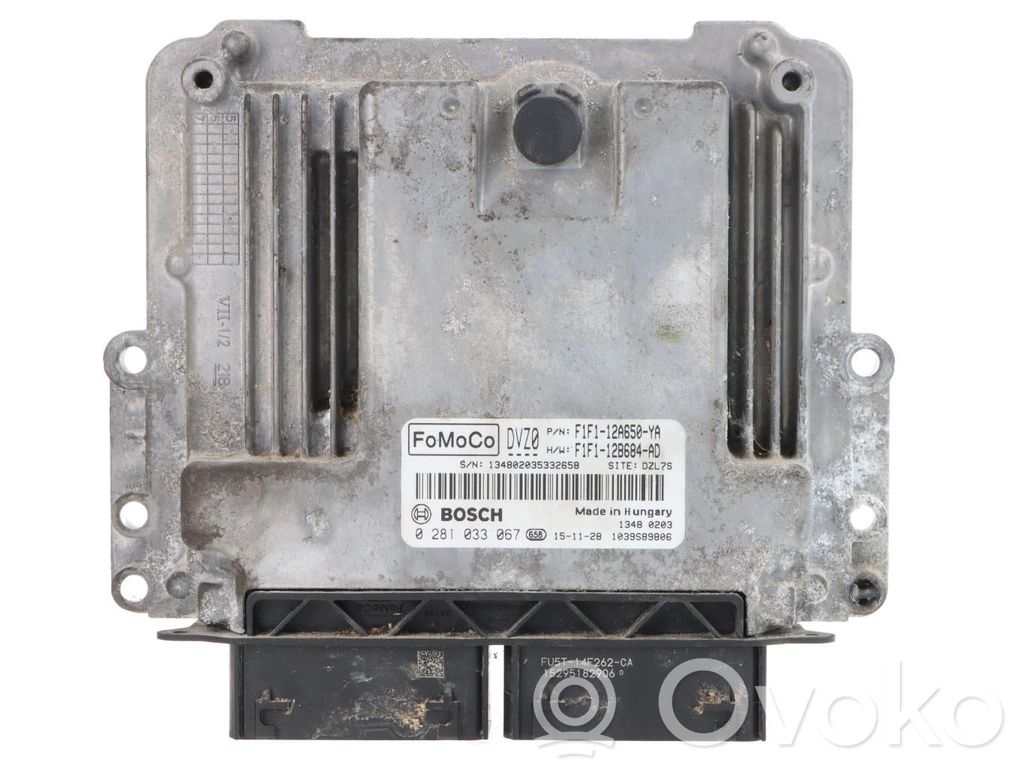 Ford Focus Engine control unit/module ECU 