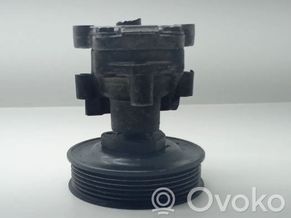 Seat Cordoba (6L) Power steering pump 