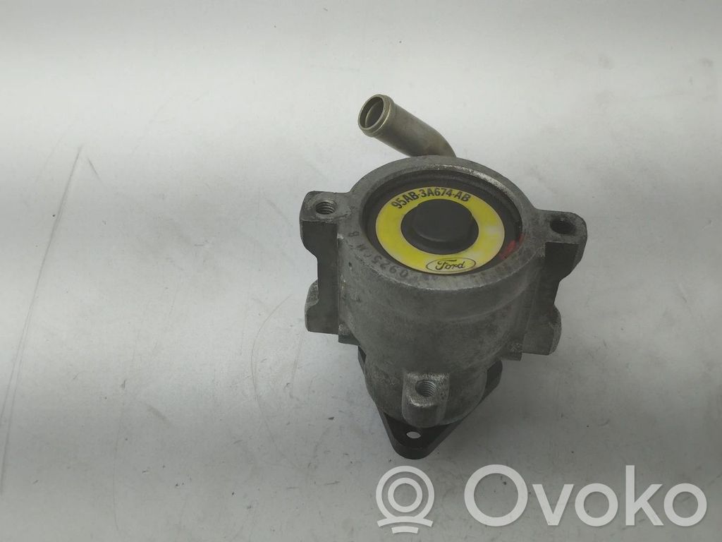 Ford Escort Vairo stiprintuvo siurblys 