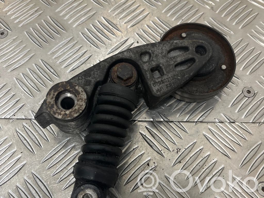 Audi A8 S8 D3 4E Napinacz paska alternatora 