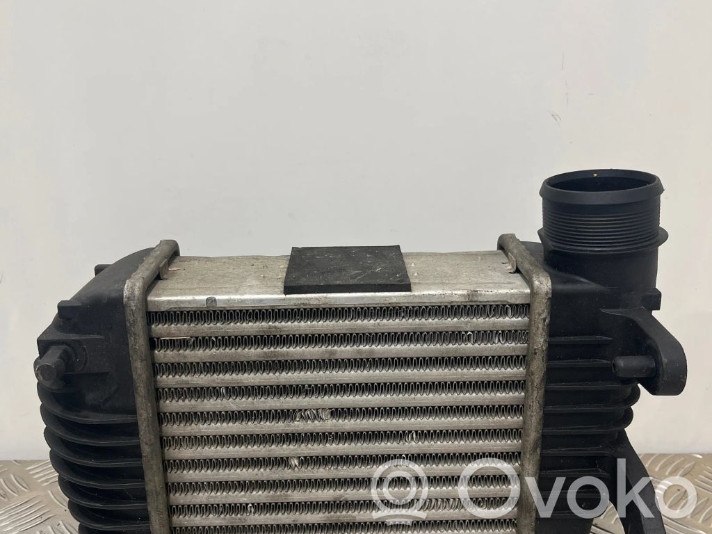 Audi A6 S6 C6 4F Interkūlerio radiatorius 