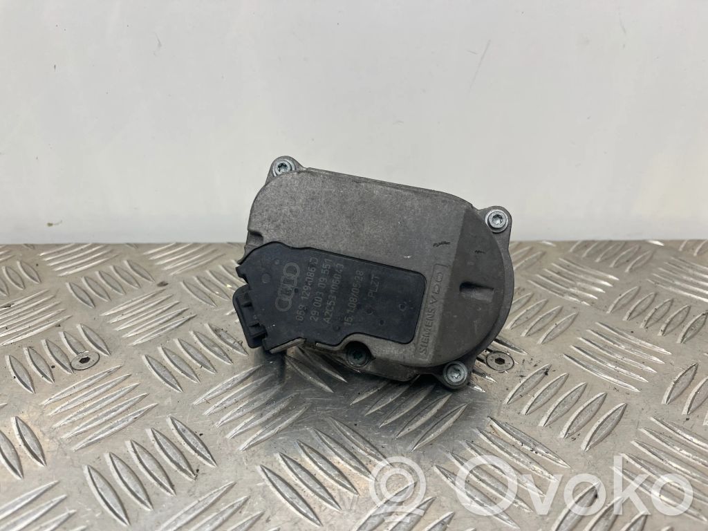 Audi A8 S8 D3 4E Sklendės valdymo varikliukas 