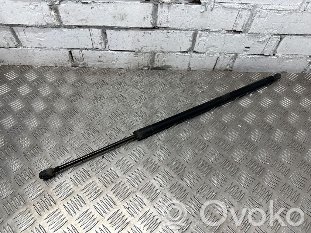 Chrysler Pacifica Tailgate/trunk strut/damper 