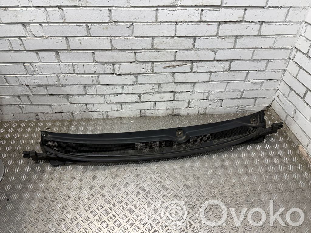 Chrysler Pacifica Moldura del limpia 