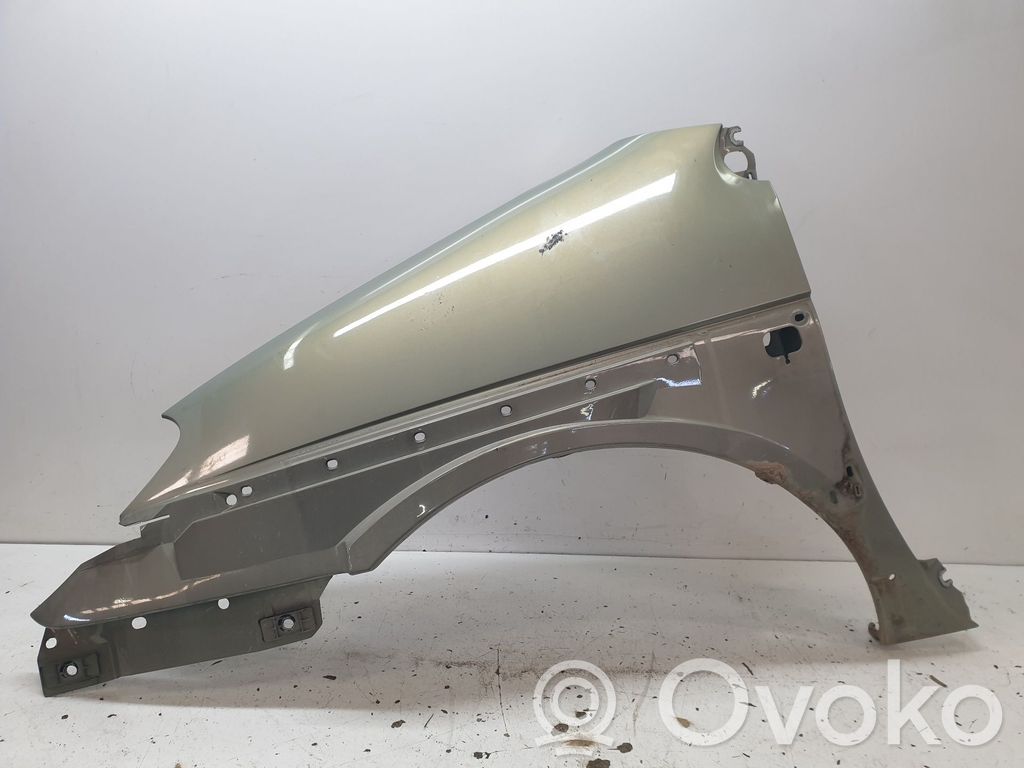 Renault Scenic I Guardabarro 