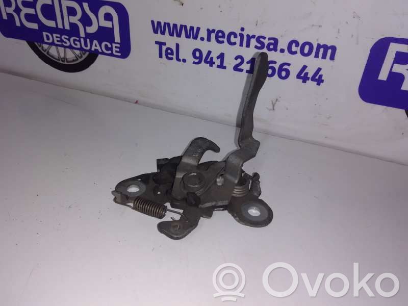 Tie down hook / loop   793471