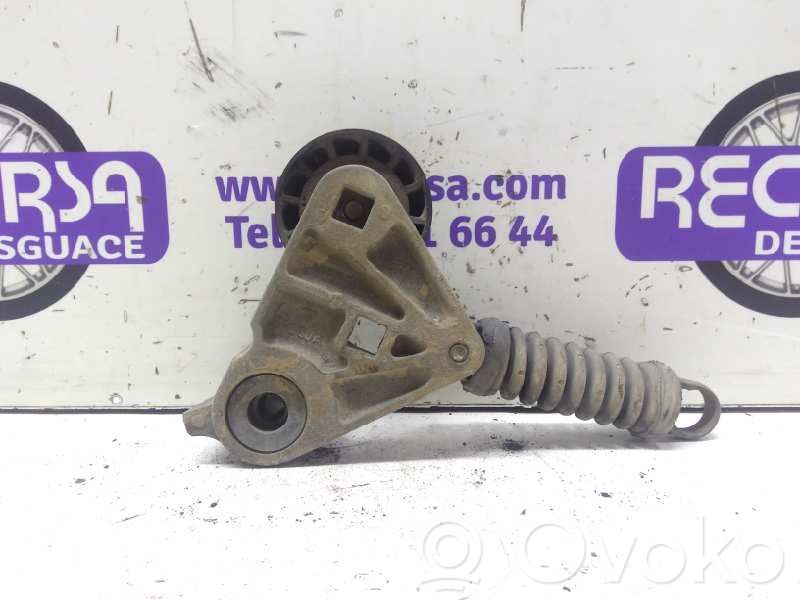 Tensor de correa del alternador   XS7E6A228