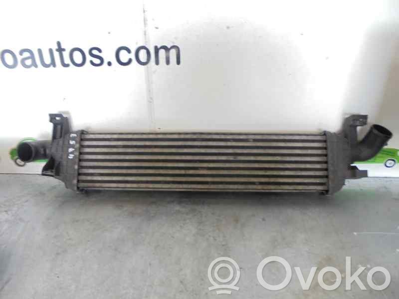 Volvo V50 Ladeluftkühler 
