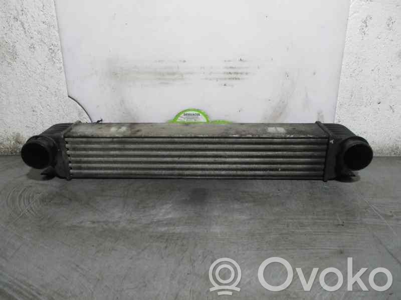 BMW 5 E39 Starpdzesētāja radiators 