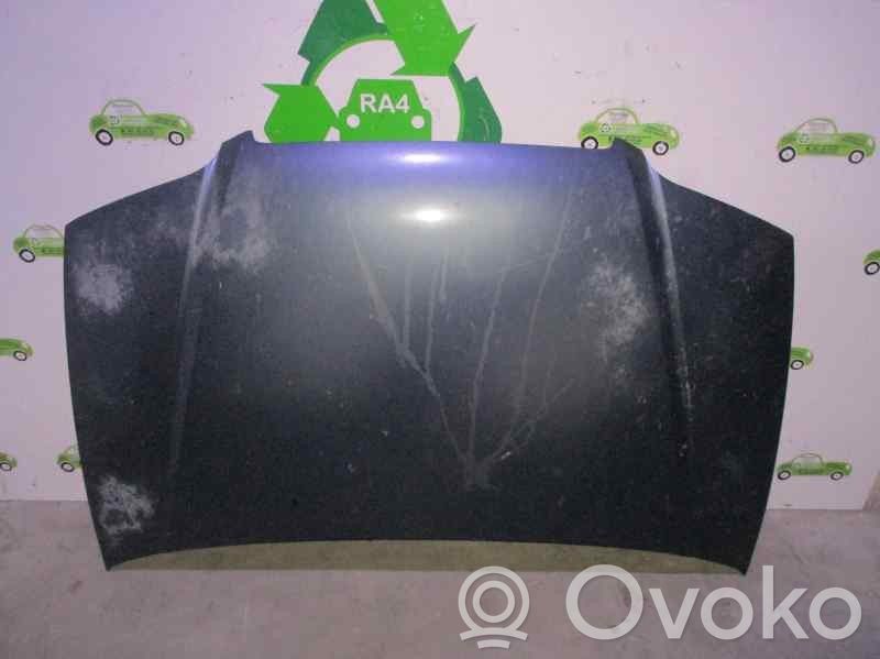 Hyundai Trajet Capó/tapa del motor