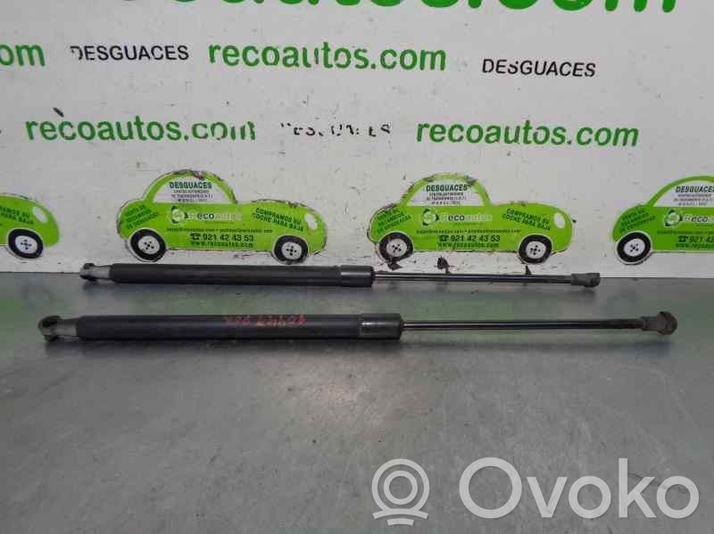 Audi A3 S3 8P Tailgate/trunk strut/damper 