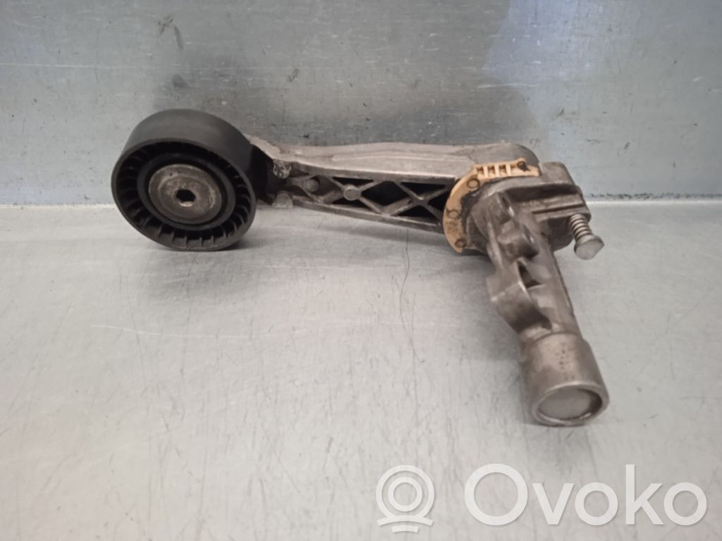 Peugeot 508 Tendicinghia generatore/alternatore 