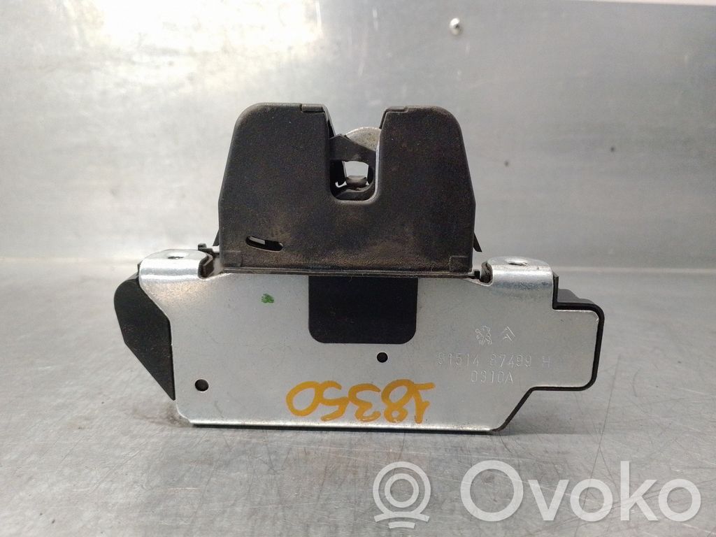 Citroen C3 Pluriel Spyna galinio borto 