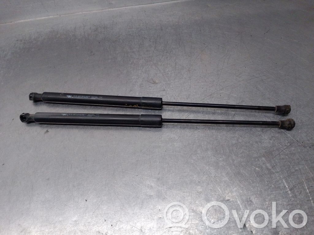 Citroen C3 Pluriel Bagāžnieka amortizators 