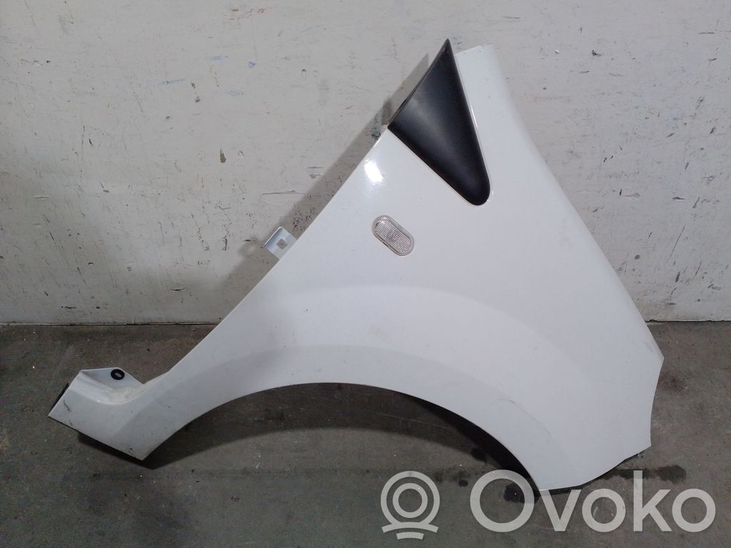 Renault Twingo II Błotnik przedni 