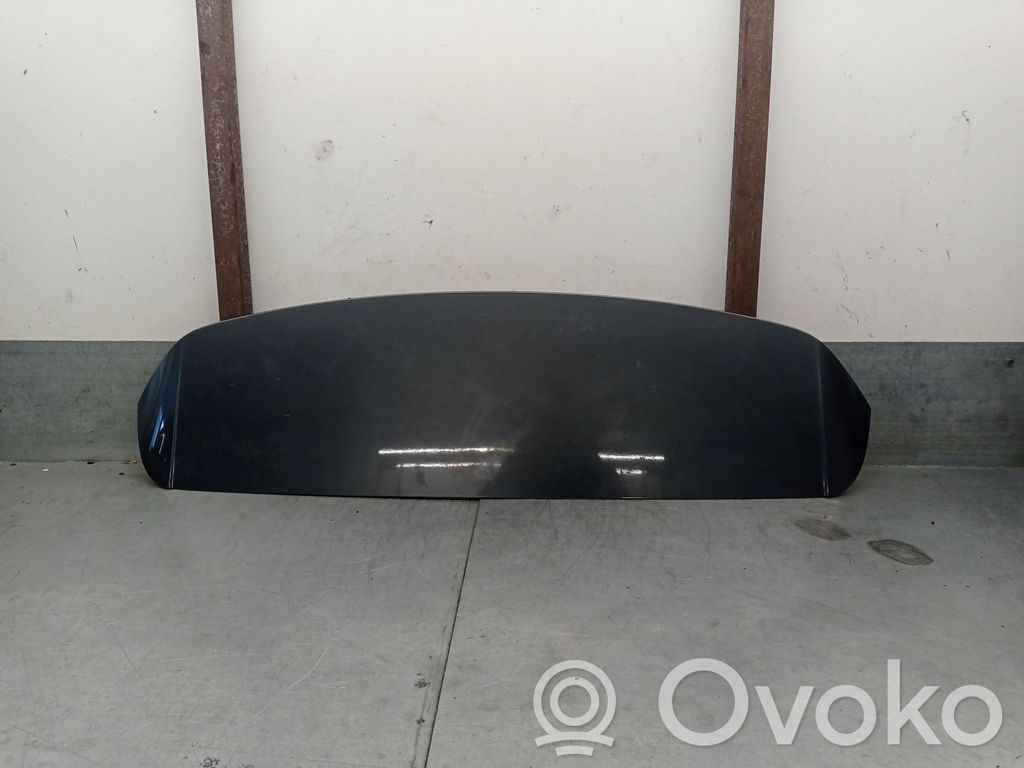 Audi Q3 8U Tailgate/trunk spoiler 