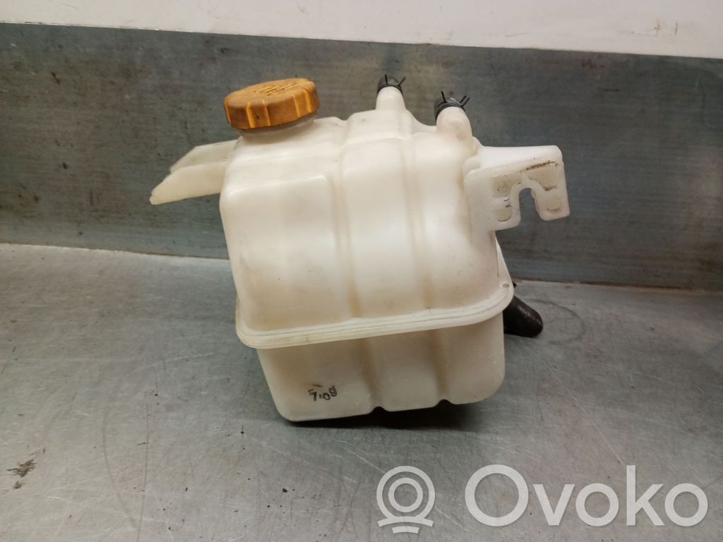Chevrolet Captiva Vas expansiune combustibil 
