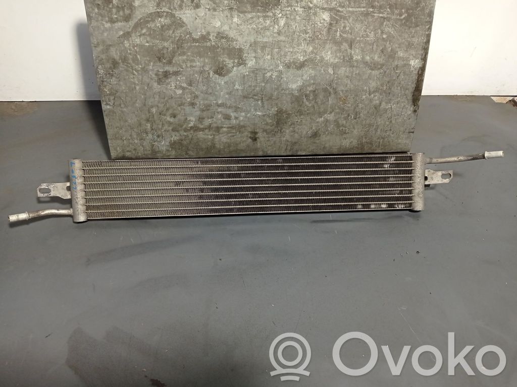 Land Rover Range Rover Sport L320 Radiatore di raffreddamento