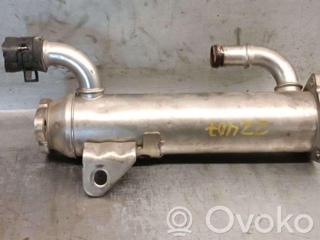 Hyundai Sonata Răcitor supapă EGR
