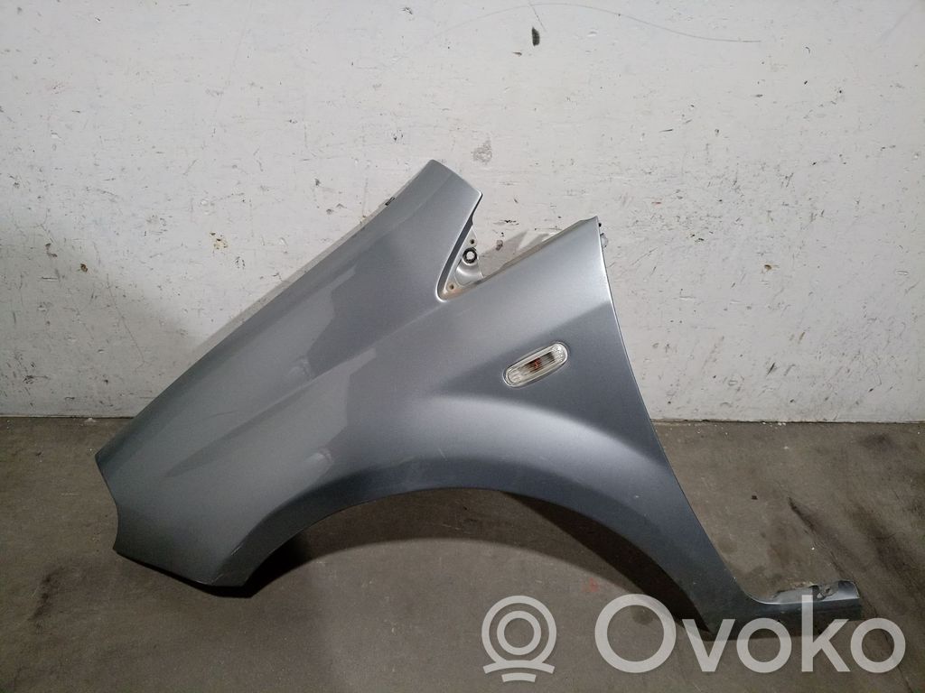 Fiat Grande Punto Kotflügel