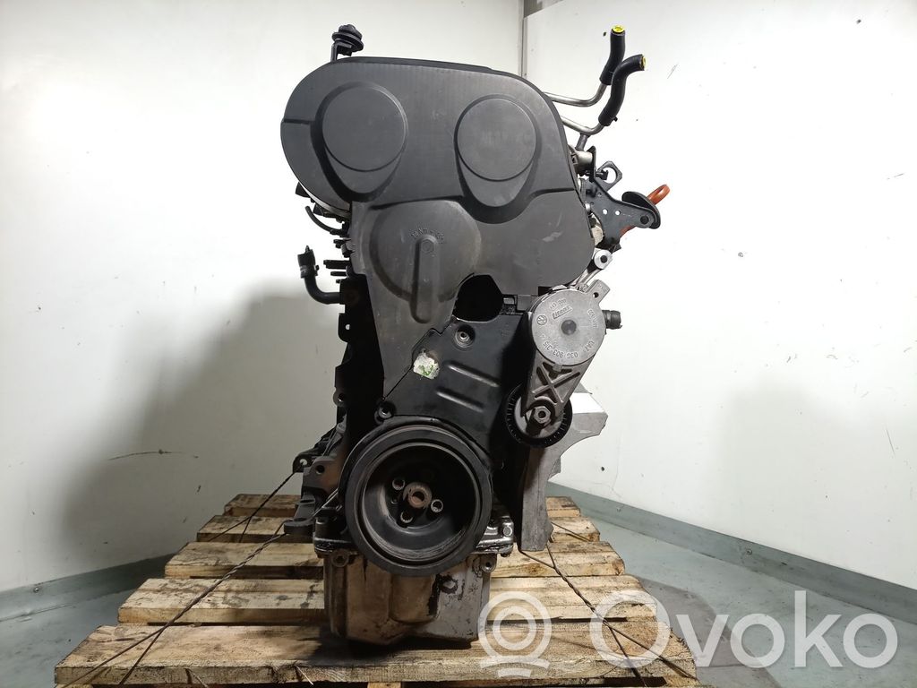 Volkswagen Golf SportWagen Engine