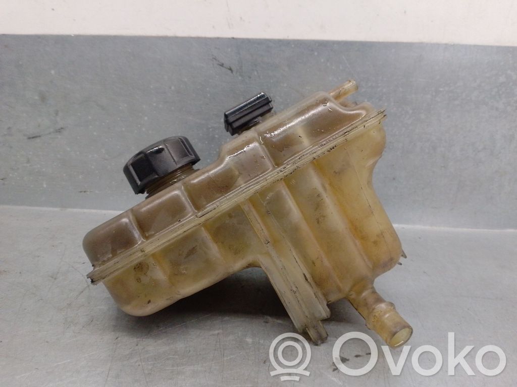 Citroen C5 Vas expansiune combustibil 