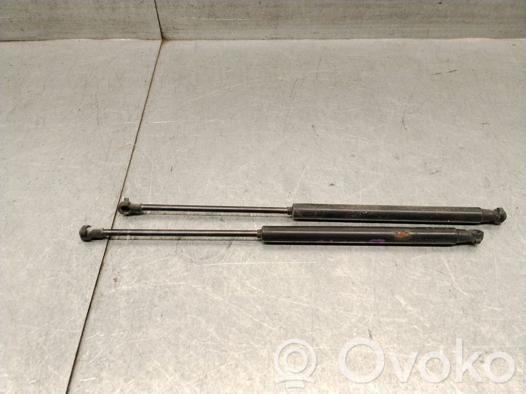 Fiat Grande Punto Amortiguador/puntal del maletero/compartimento de carga