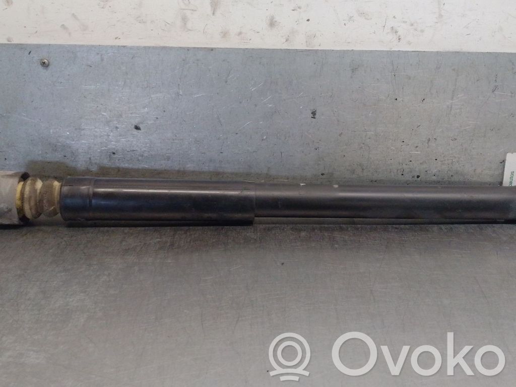 Ford Ecosport Amortizor spate
