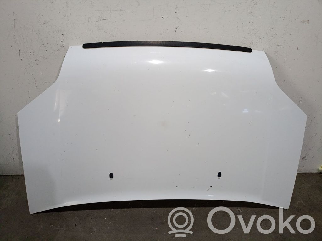 Ford Tourneo Motorhaube 