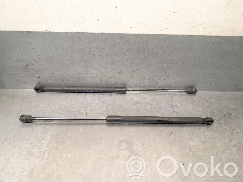 Fiat Panda II Tailgate/trunk strut/damper