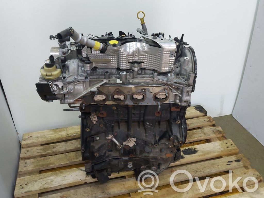 Variklis   M9RZ717