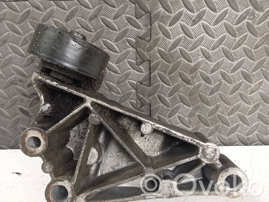 Ford Focus Diržo įtempėjas 