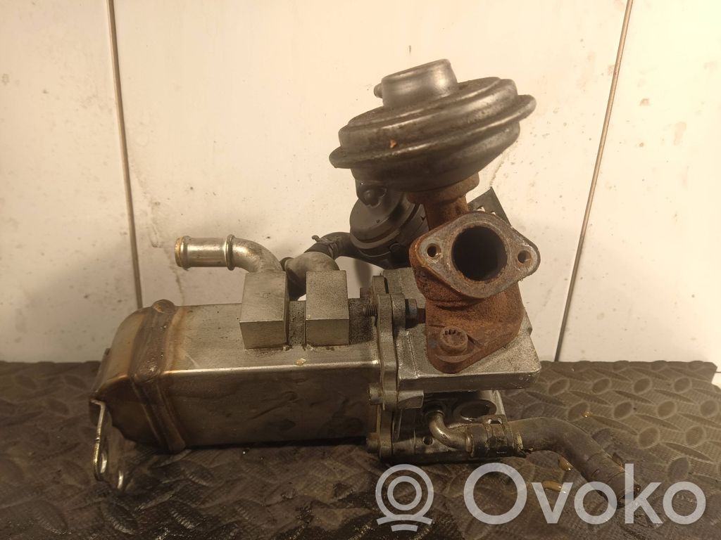 Volkswagen Touareg I EGR aušintuvas 