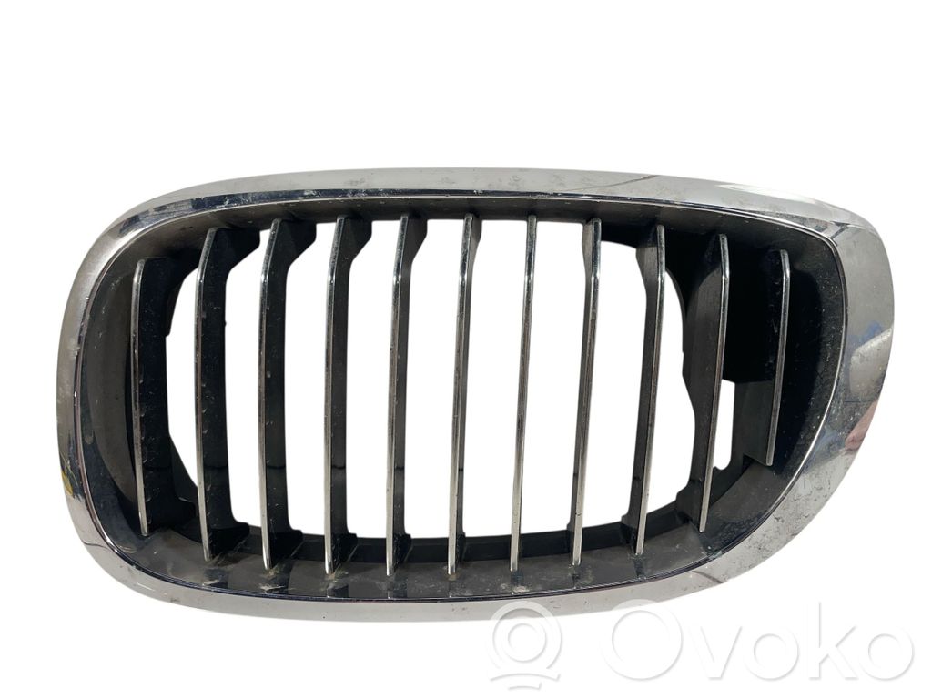 Front grill   70643230